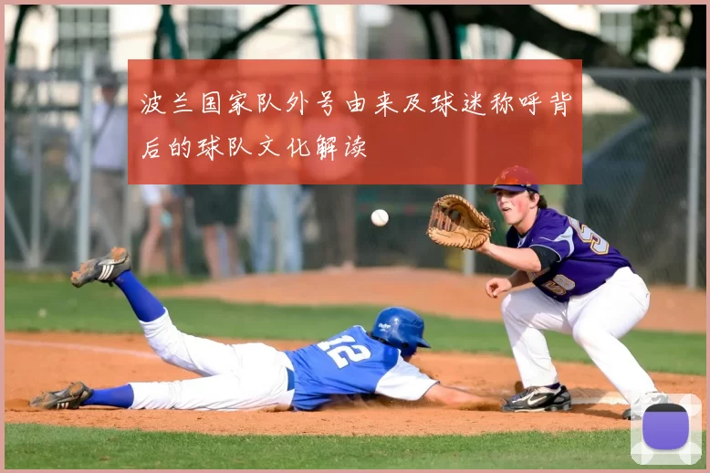 波兰国家队外号由来及球迷称呼背后的球队文化解读