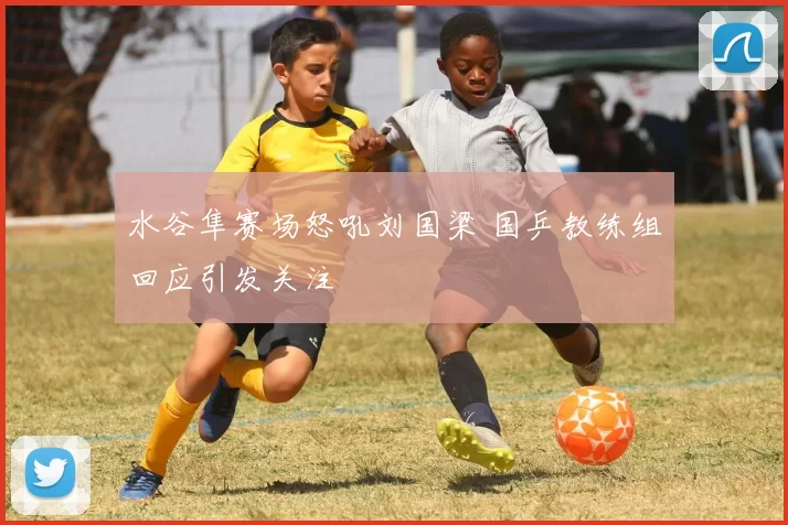 水谷隼赛场怒吼刘国梁 国乒教练组回应引发关注