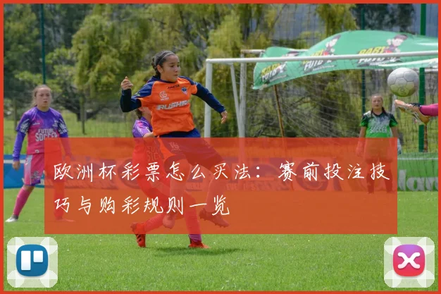 欧洲杯彩票怎么买法：赛前投注技巧与购彩规则一览