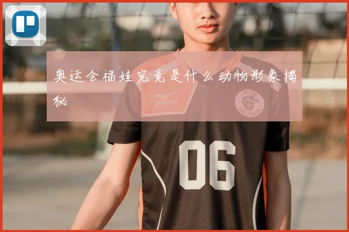 奥运会福娃究竟是什么动物形象揭秘