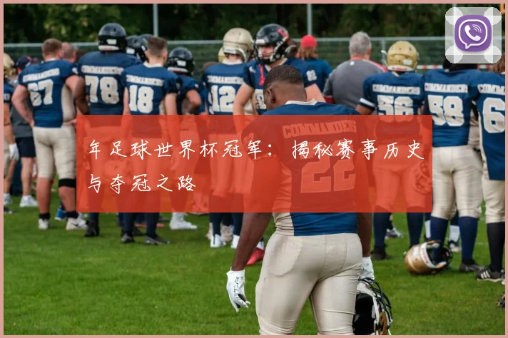 年足球世界杯冠军：揭秘赛事历史与夺冠之路