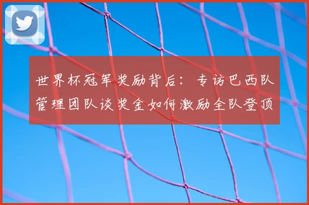 世界杯冠军奖励背后:专访巴西队管理团队谈奖金如何激励全队登顶